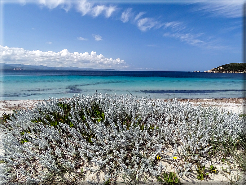 foto Spiagge a Santa Teresa di Gallura